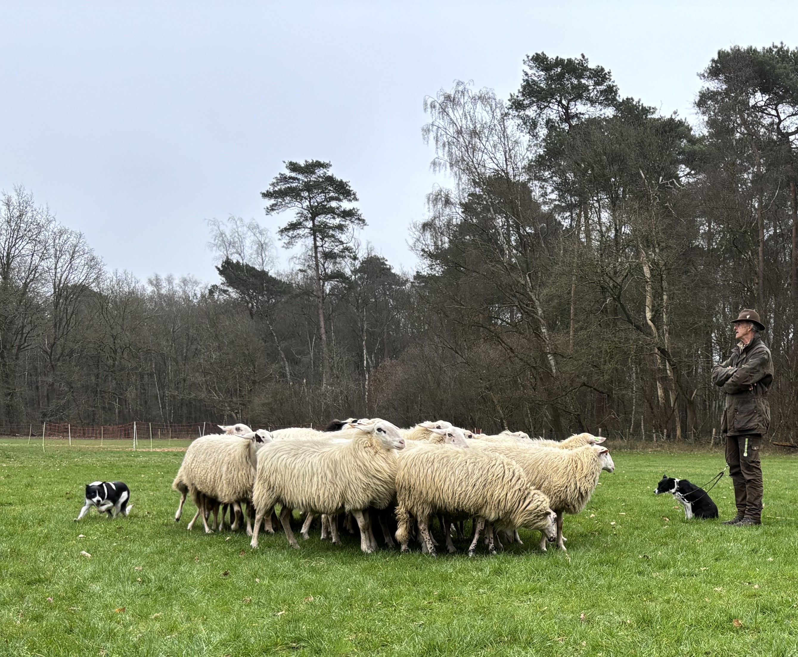 Verhalencafé Nieuwleusen: De herder vertelt 